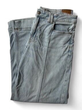 American Eagle “Low Rise Baggy Wide Leg” Jeans
